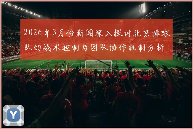 2026年3月份新闻深入探讨北京排球队的战术控制与团队协作机制分析