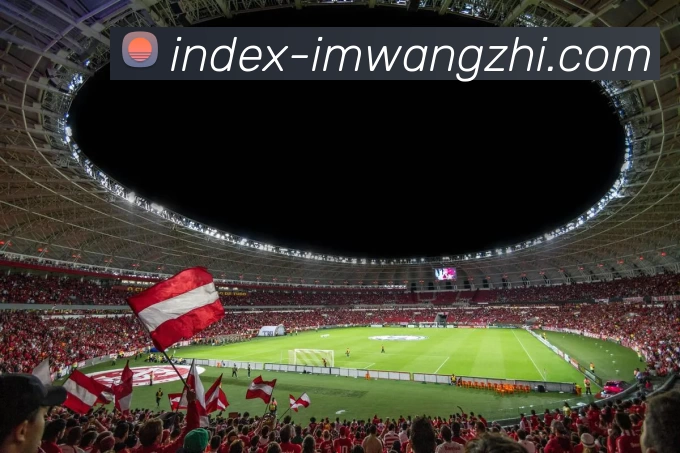 IM电竞全站App